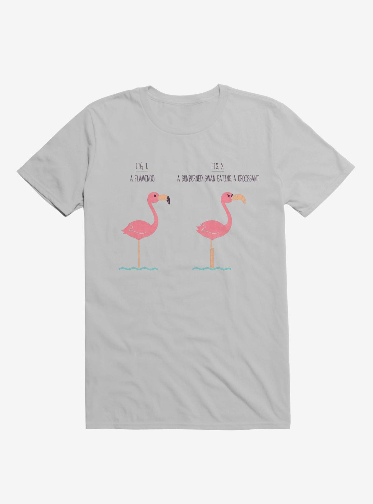 Know Your Birds A Flamingo Or Sunburned Swan Ice Grey T-Shirt