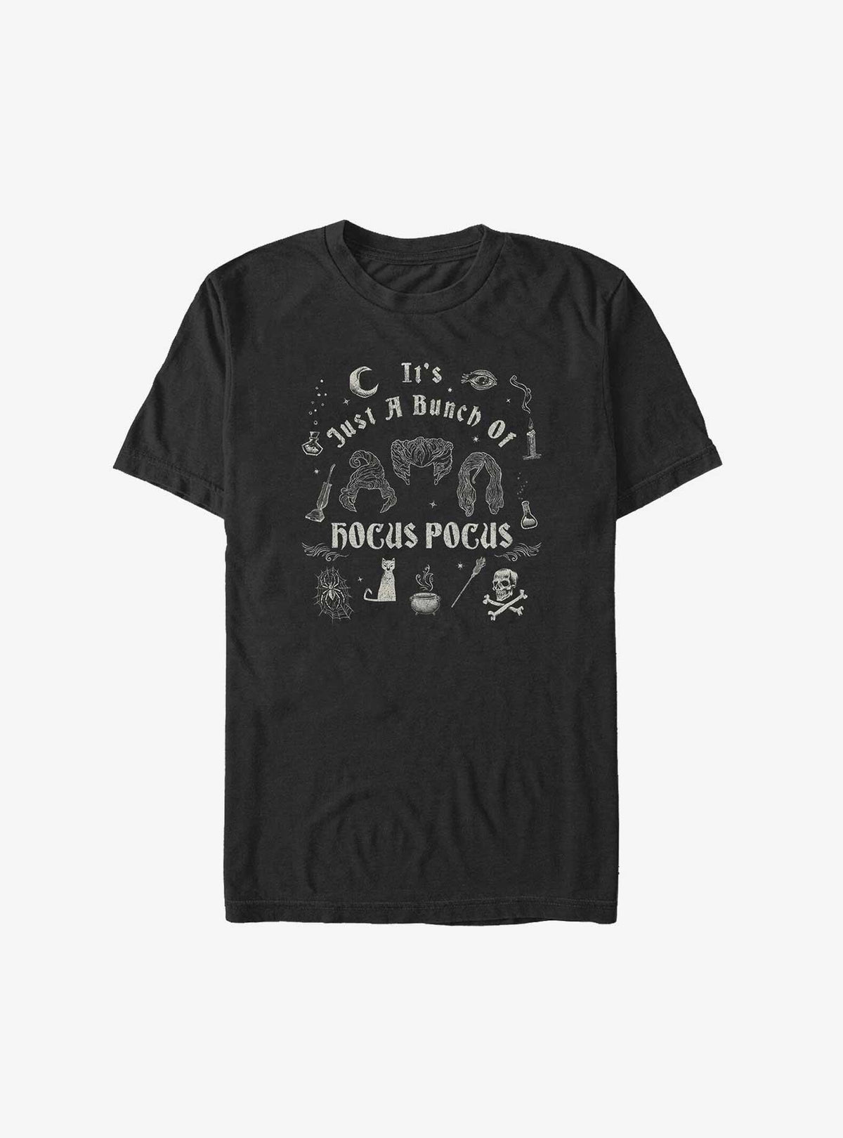 Hocus Pocus A Bunch of Hocus Pocus Big Tall T-Shirt