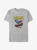 web hero Web of web hero Big Tall T-Shirt