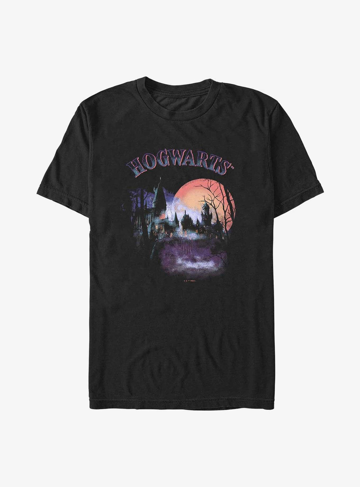 wizard school Night At Hogwarts Big Tall T-Shirt