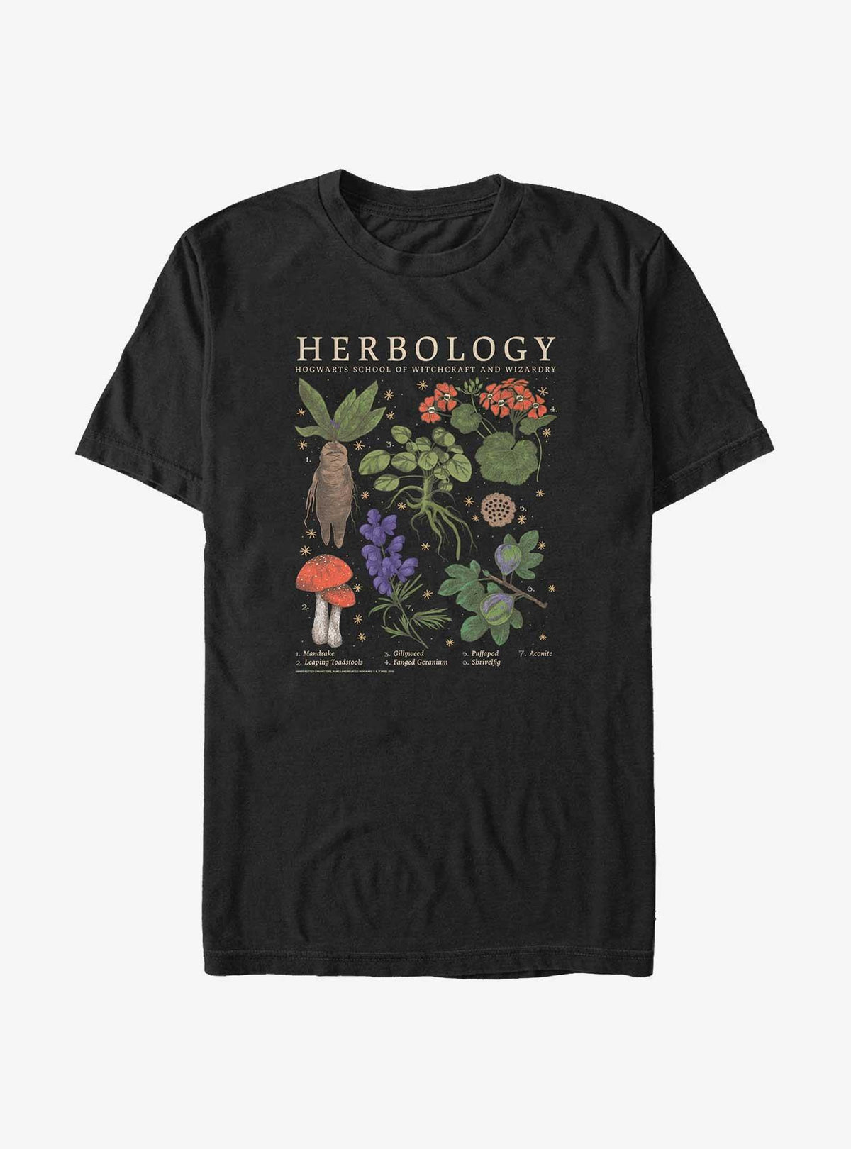 wizard school Herbology Big Tall T-Shirt 2