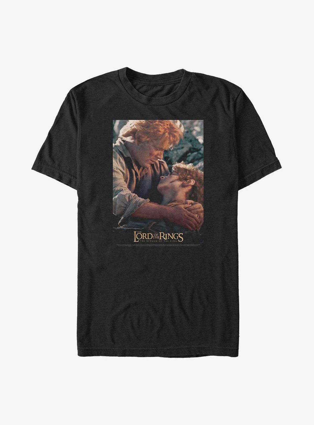 The Lord of the Rings Samwise I Can Carry You Poster Big Tall T-Shirt