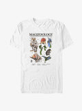 Fantastic Beasts and Where to Find Them Magizoology Big Tall T-Shirt