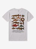 North America Fish T-Shirt By Camp Mustelid