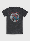 web hero Retro Mineral Wash T-Shirt