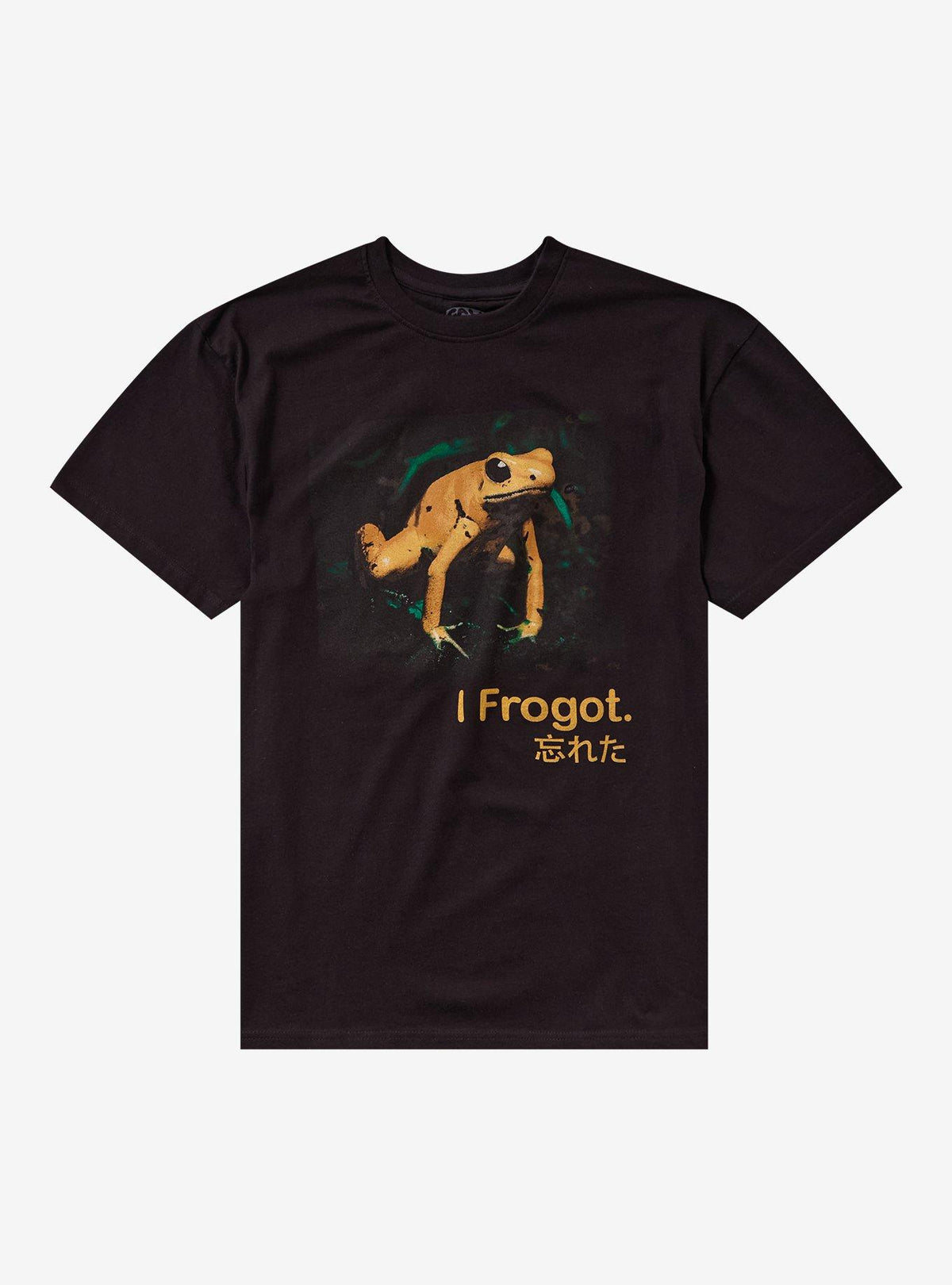 I Frogot Frog T-Shirt By Call Your Mother