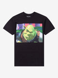 Shrek Smirk Panel T-Shirt