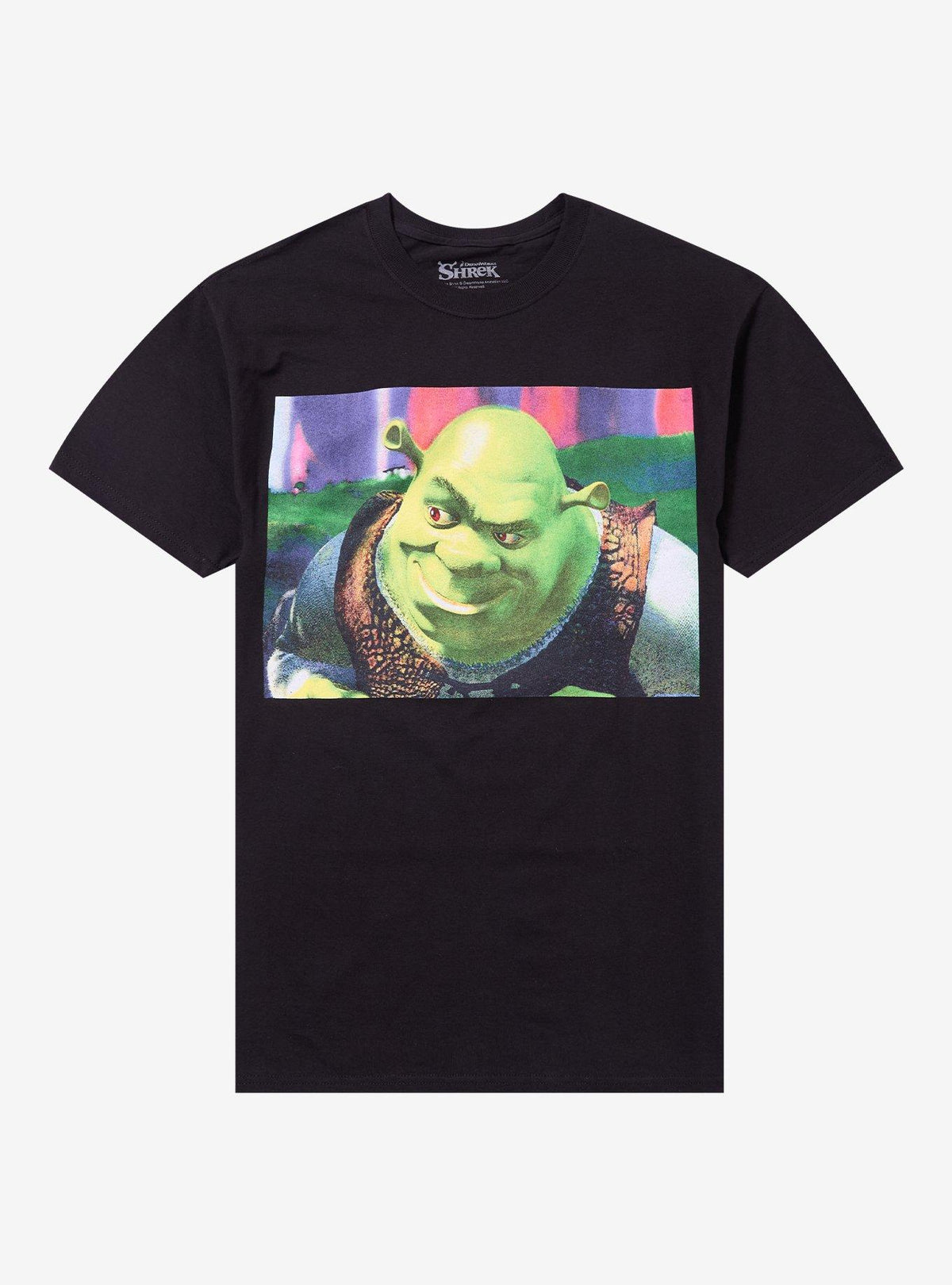 Shrek Smirk Panel T-Shirt