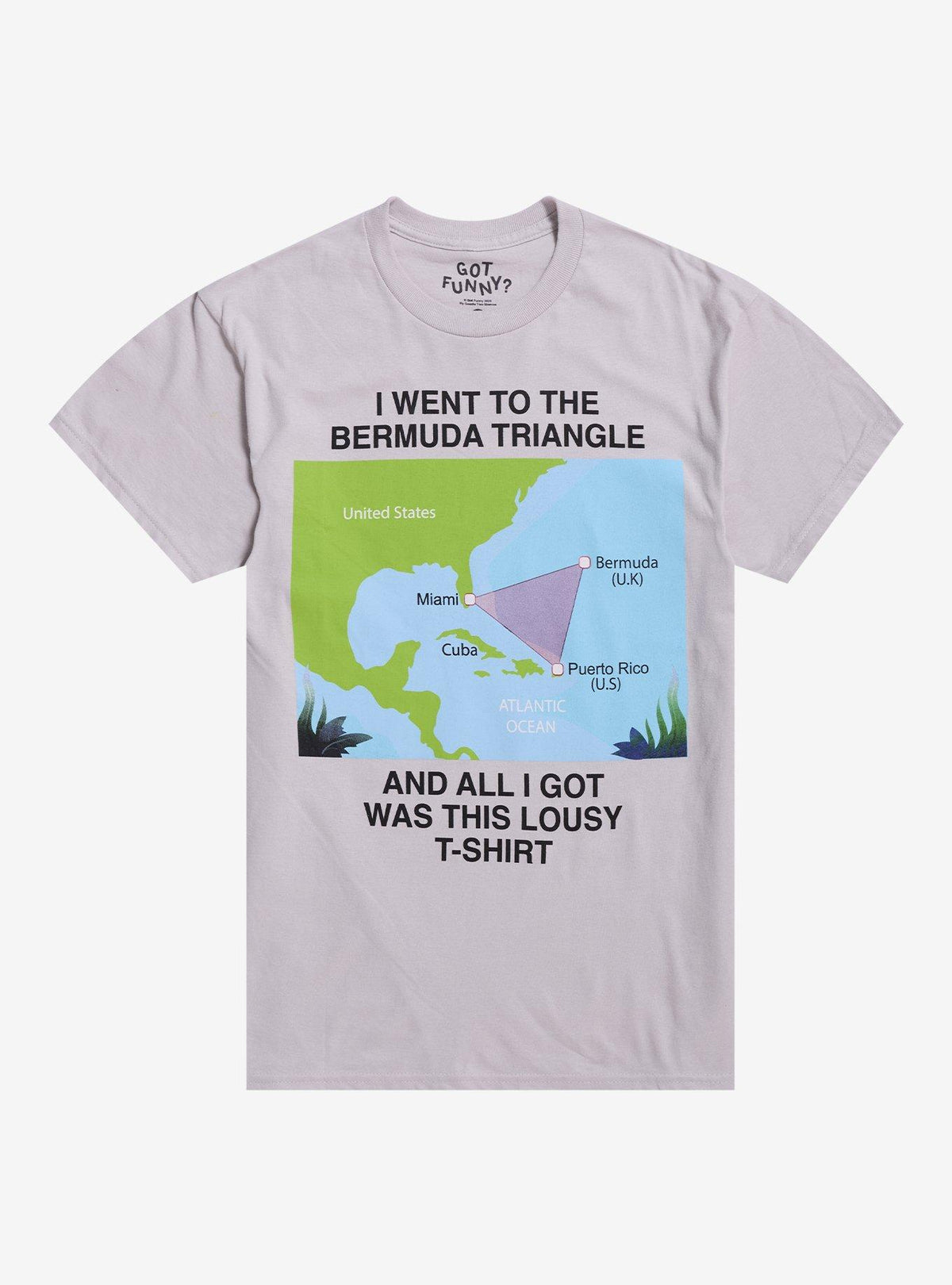 Bermuda Triangle Lousy T-Shirt By Got Funny