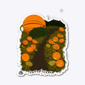 Pumpkin patch
