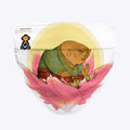 Buddha on Lotus