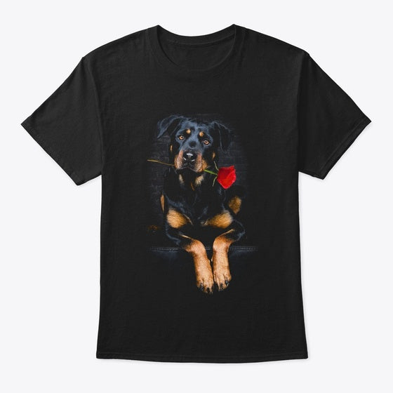 Rott 3