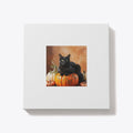 pumpkin cat