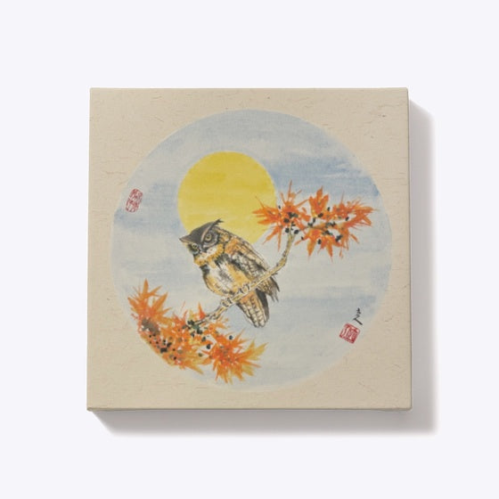 Owl and the Moon