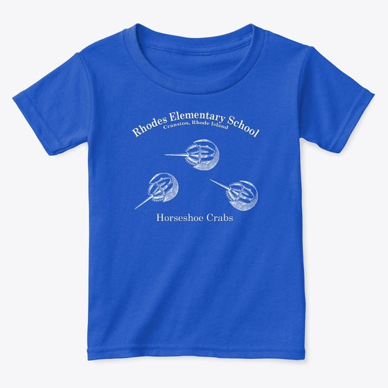 3 Horseshoe crabs