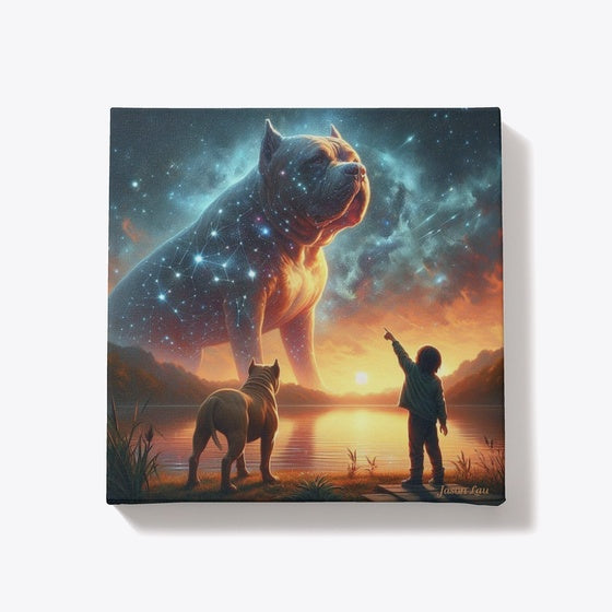American Bully Boy Constellation