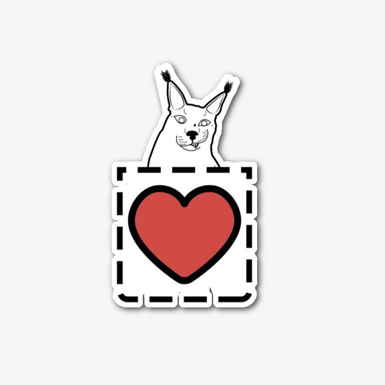 BIG FLOPPA MINIMALISTIC