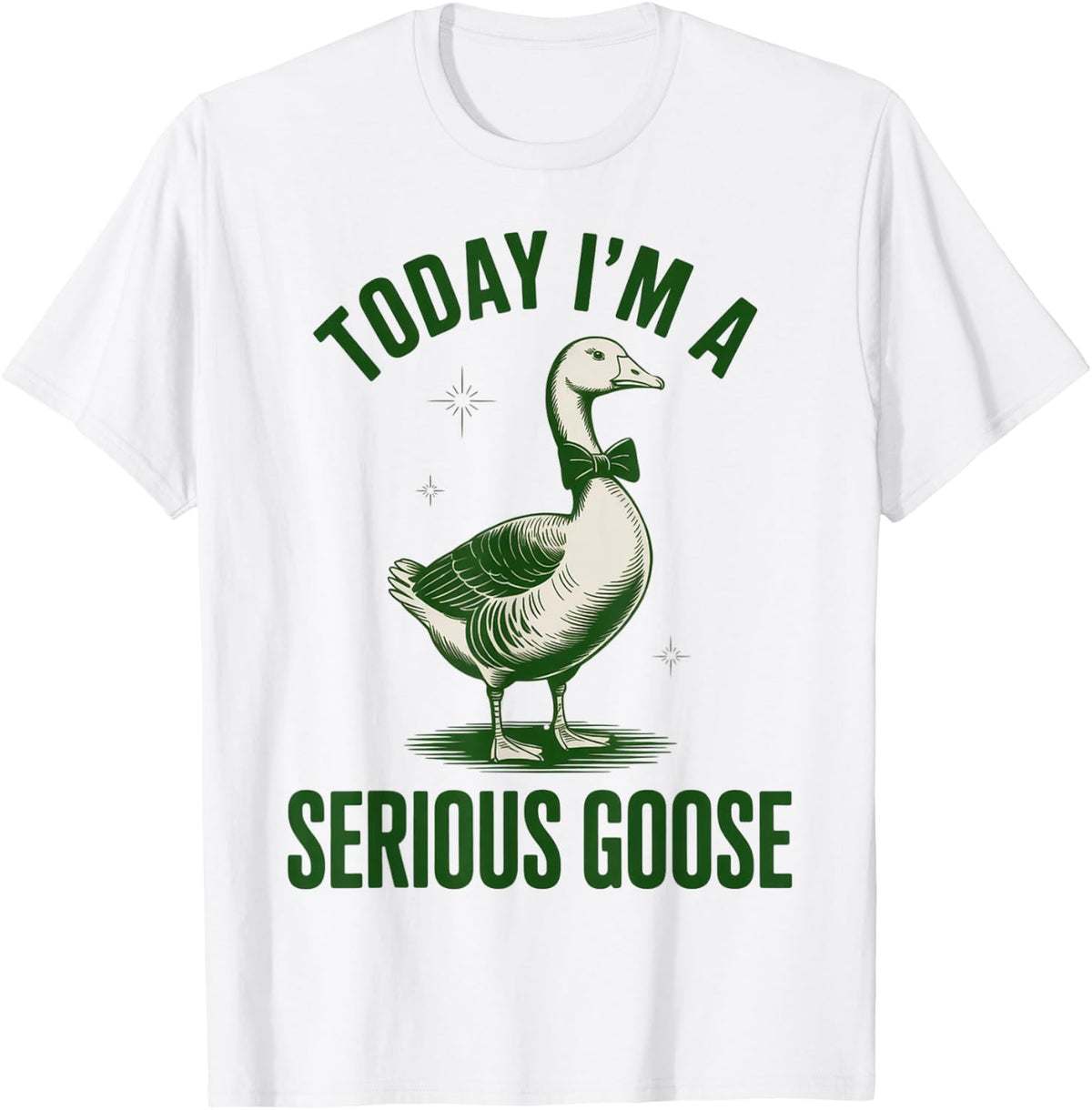 Today I M A Serious Goose Lovers Gun Funny Gift Apparel Gift Ready