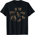 Frolicking Baby Bears