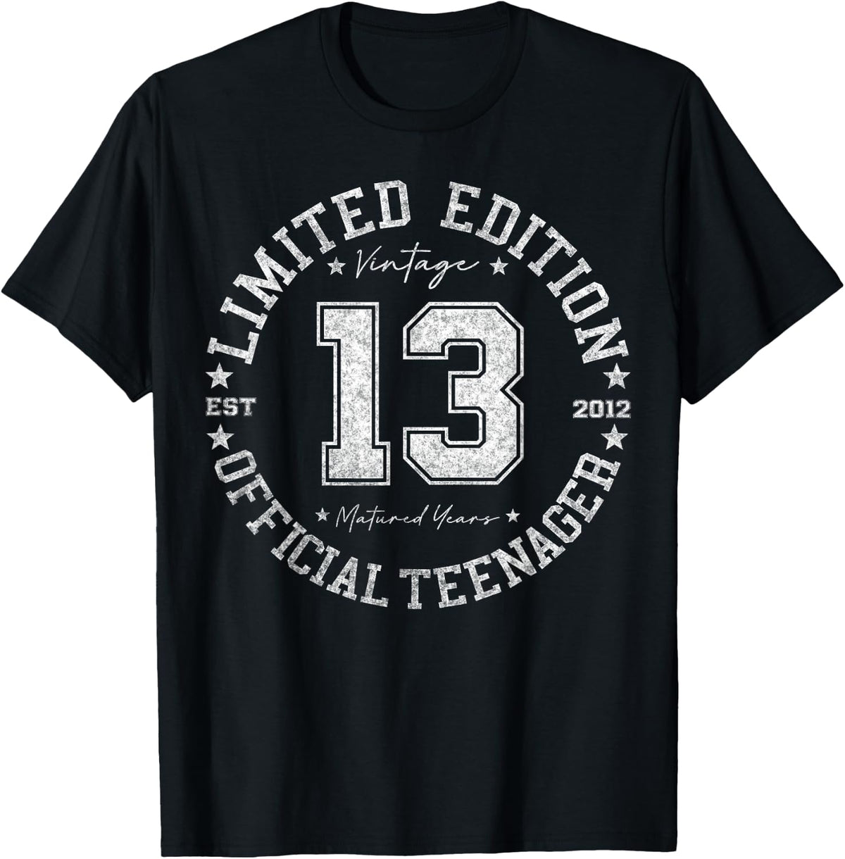 13th Birthday Retro One of a Kind Teenager Vintage Gift Shirt 5